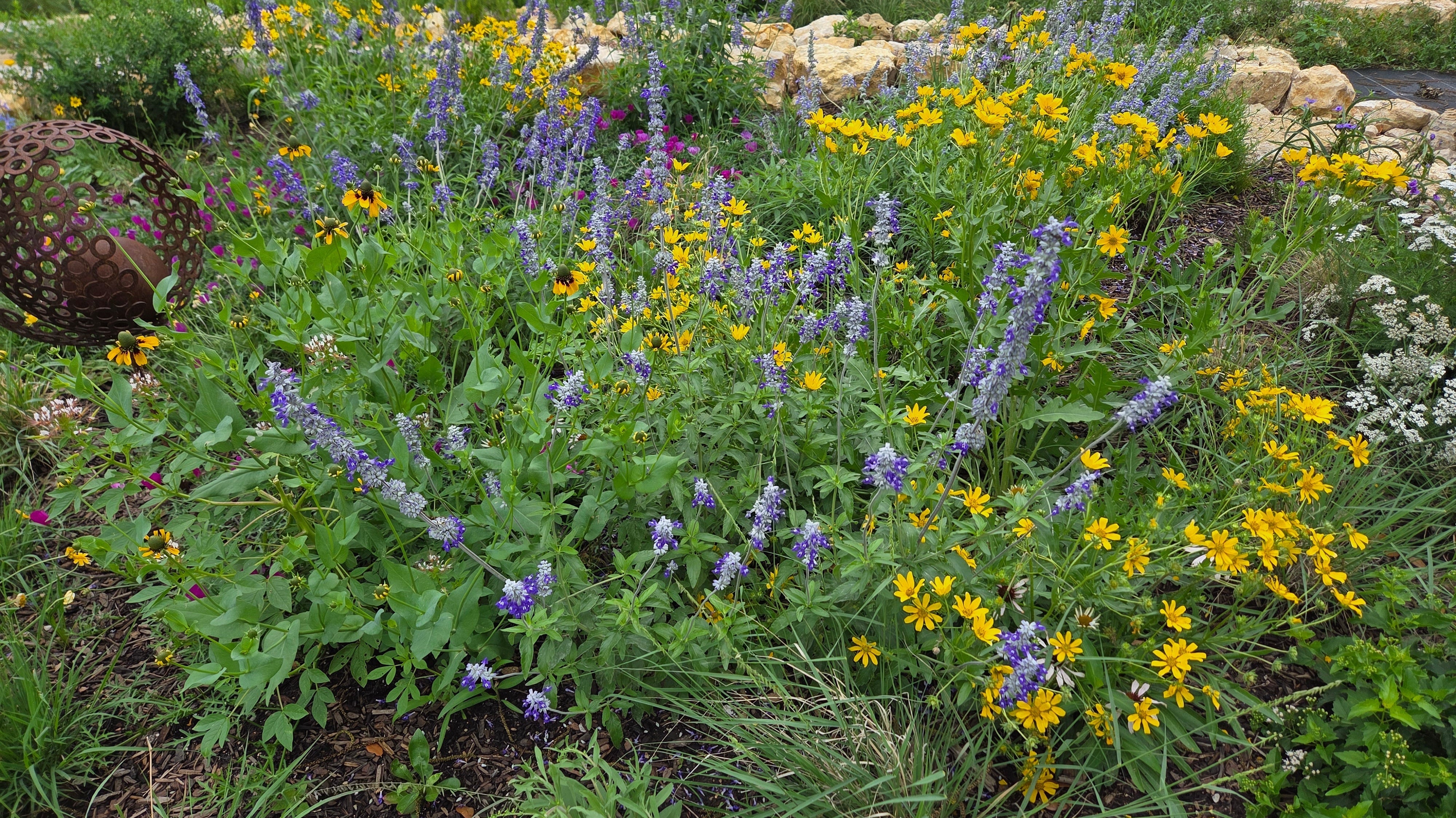 Unrestrained: The Story of the Short Pollinator Garden