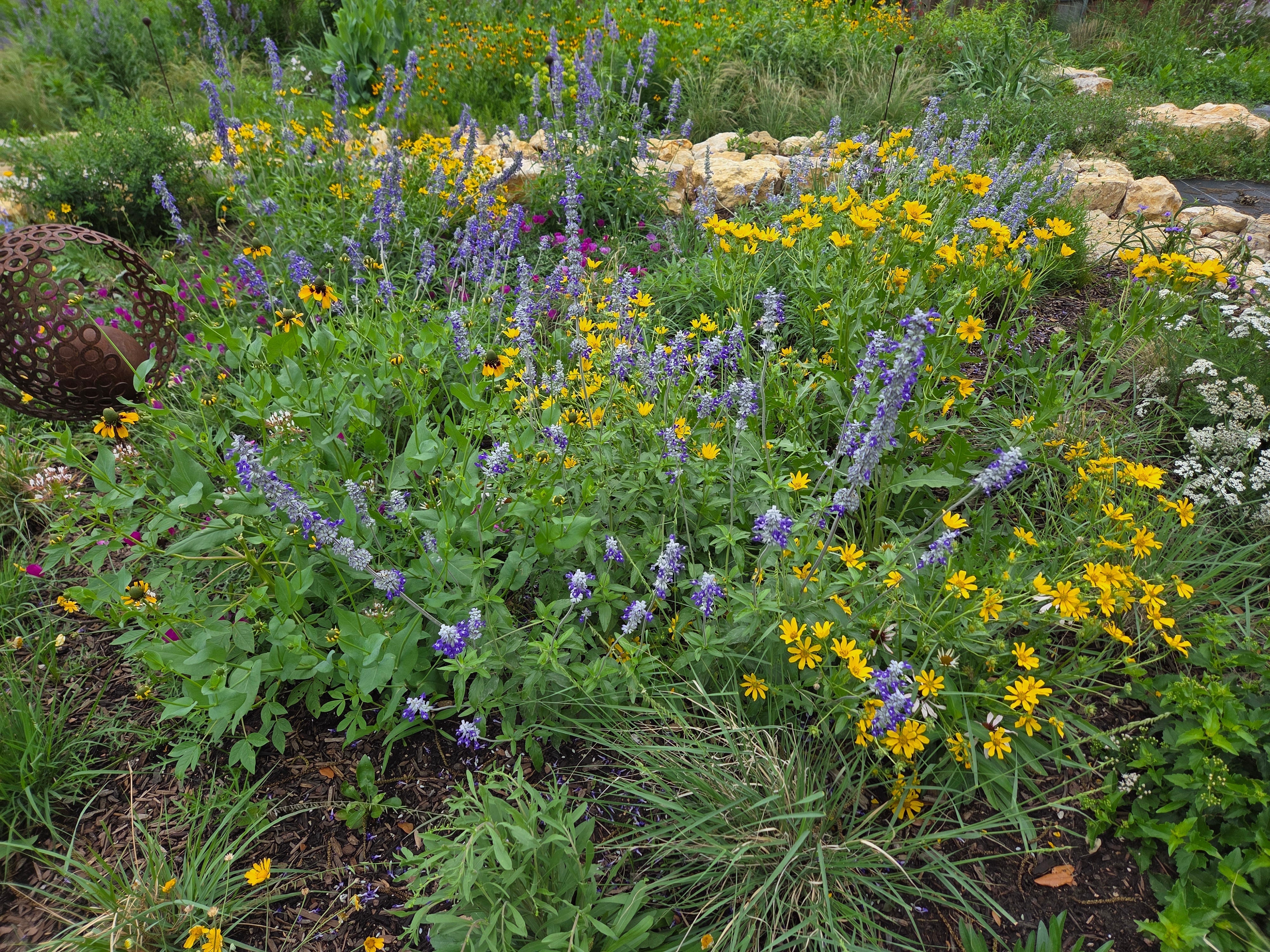 Unrestrained: The Story of the Short Pollinator Garden